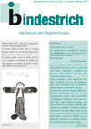bindestrich 2010
